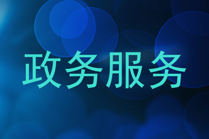 政务服务
