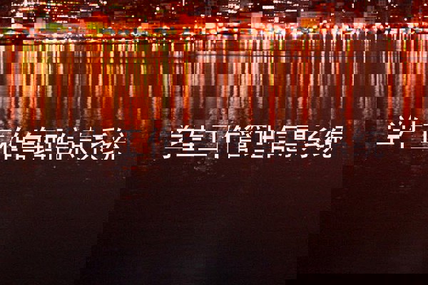 学生工作管理信息系统