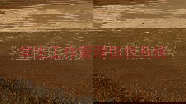 学生工作管理信息系统