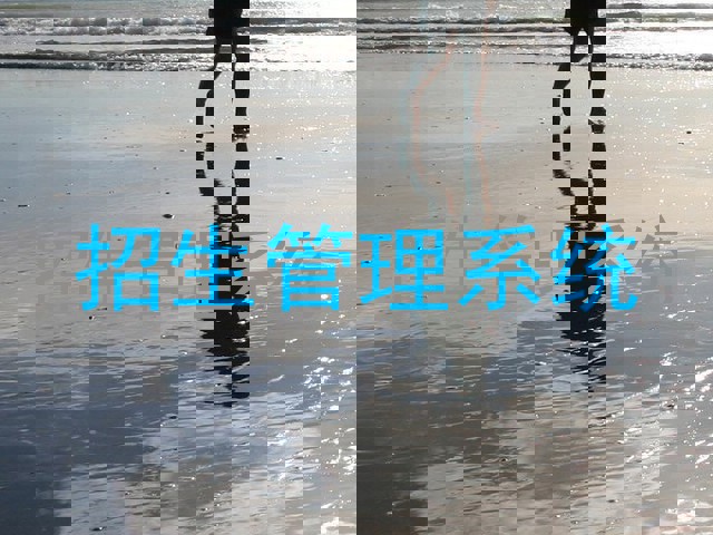 招生管理系统