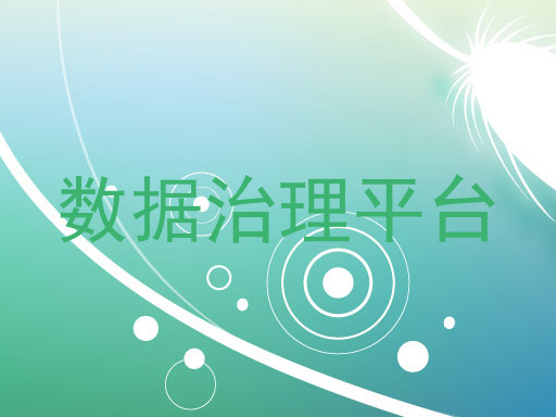 数据治理平台