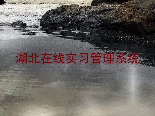 湖北在线实习管理系统