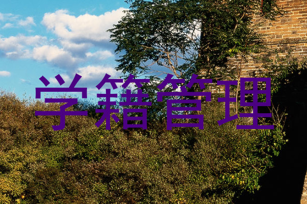 学籍管理