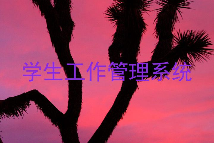 学生工作管理系统