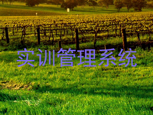 实训管理系统