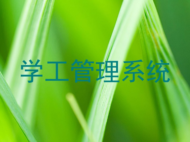 学工管理系统