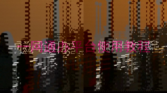 一网通办平台使用教程