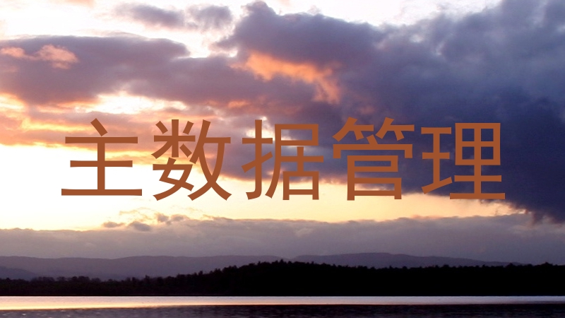 主数据管理
