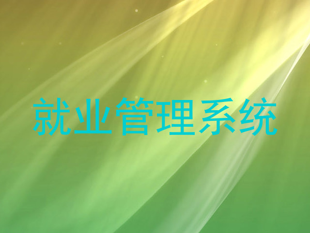 就业管理系统