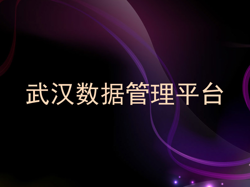 武汉数据管理平台