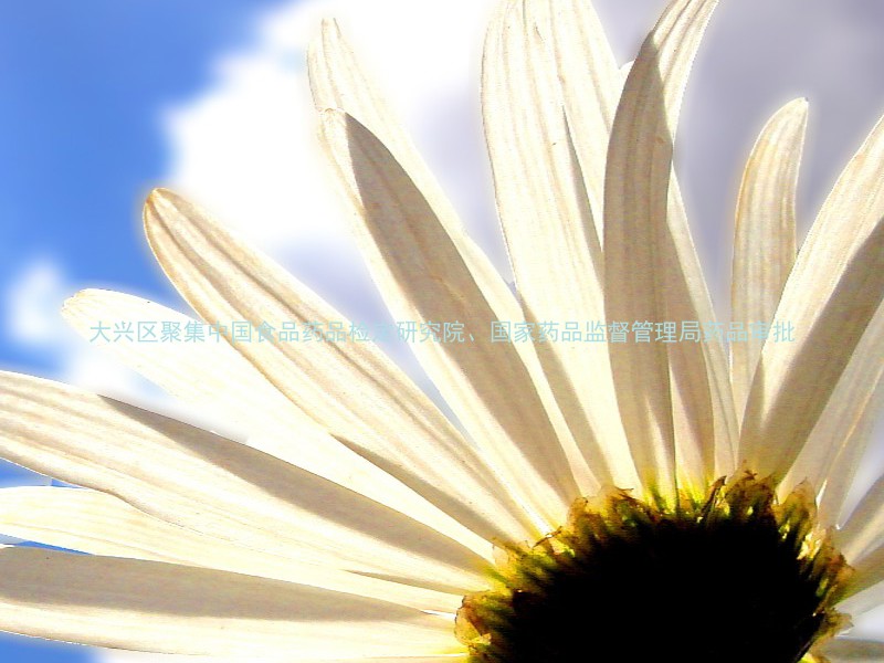 大兴区聚集中国食品药品检定研究院、国家药品监督管理局药品审批