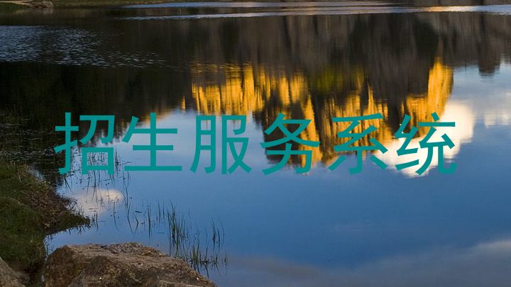 招生服务系统