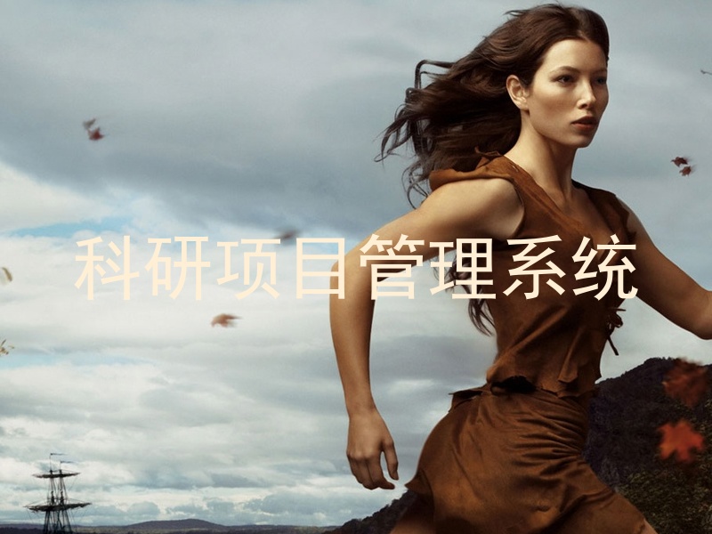 科研项目管理系统