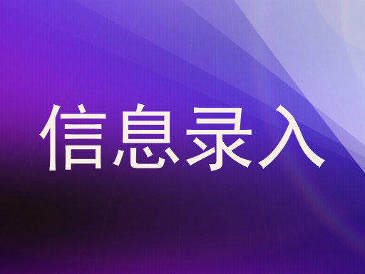 信息录入