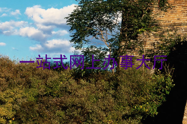 一站式网上办事大厅