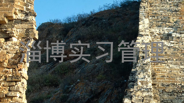 淄博实习管理