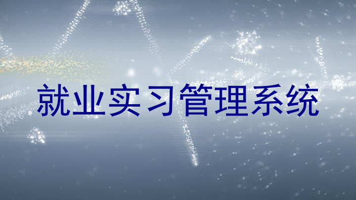 就业实习管理系统