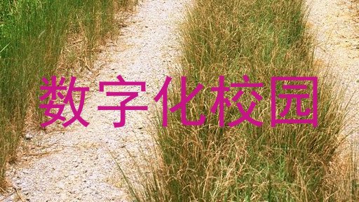 数字化校园