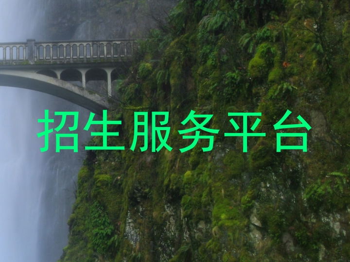 招生服务平台