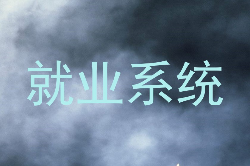 就业系统