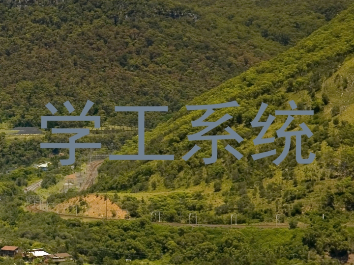 学工系统