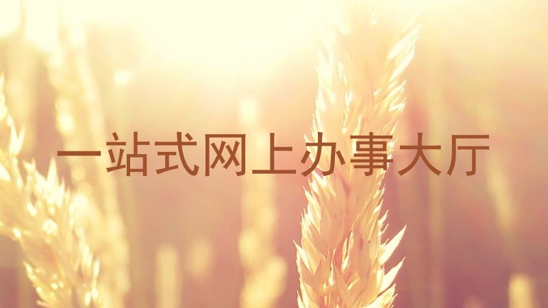 一站式网上办事大厅