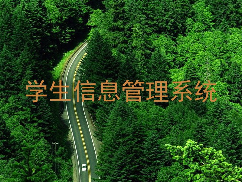 学生信息管理系统