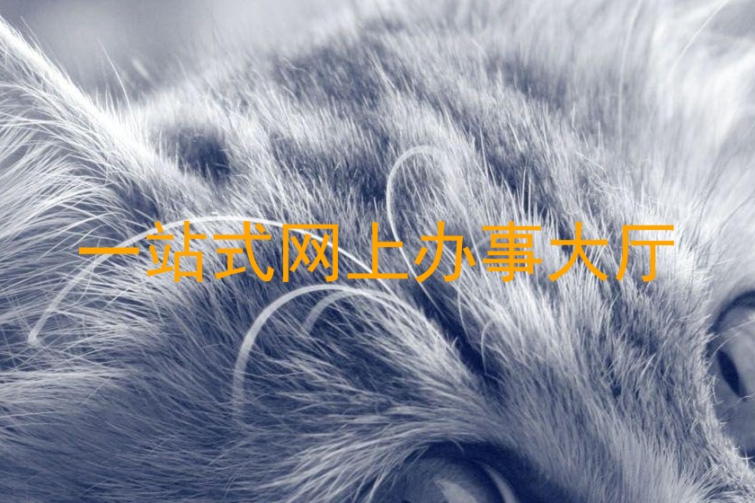 一站式网上办事大厅