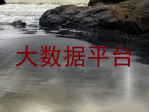 大数据平台