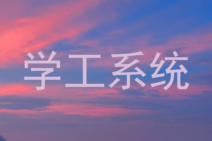 学工系统