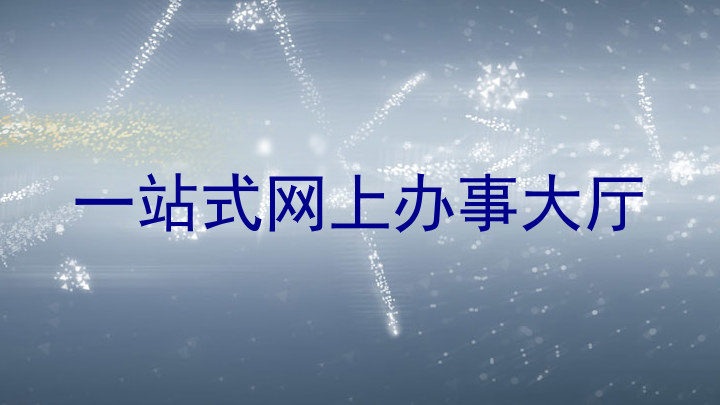 一站式网上办事大厅
