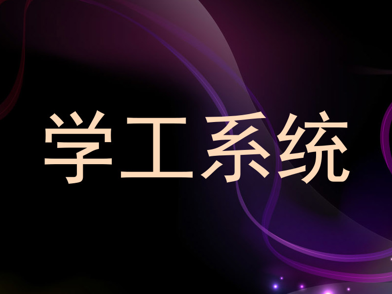 学工系统