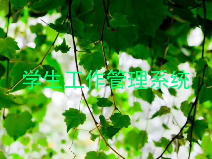 学生工作管理系统