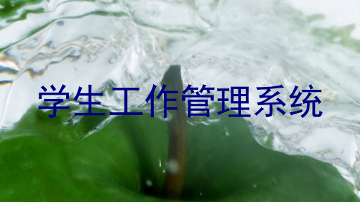 学生工作管理系统