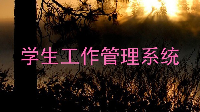学生工作管理系统