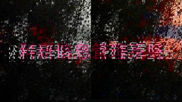科研信息管理系统