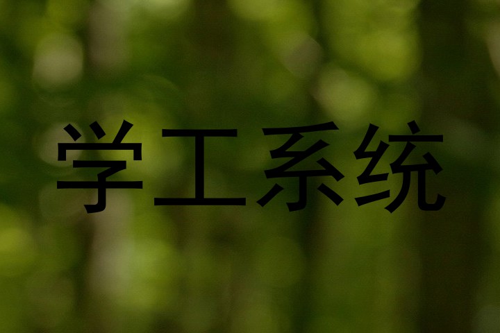 学工系统