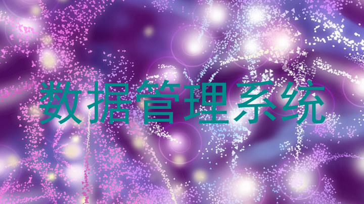 数据管理系统