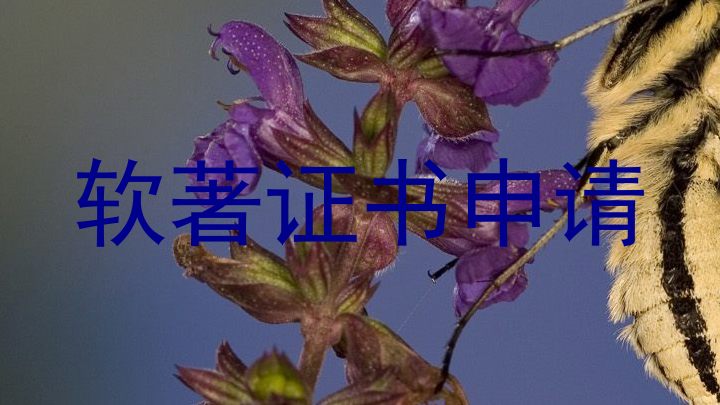 软著证书申请