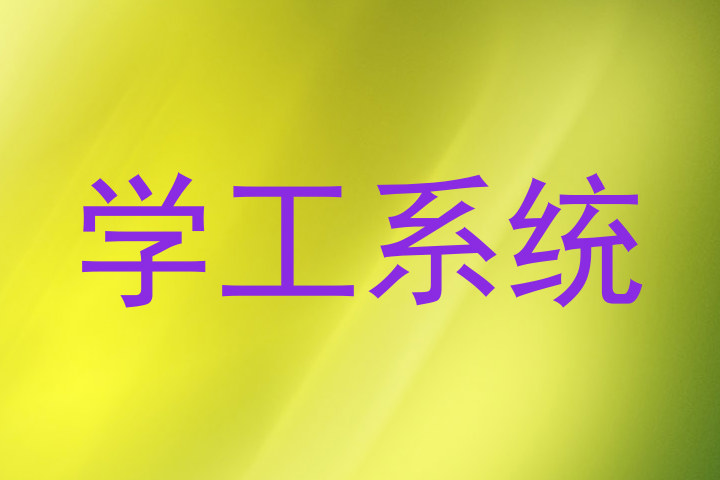 学工系统