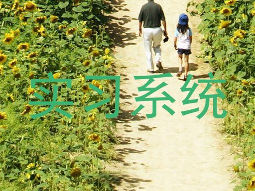 实习系统