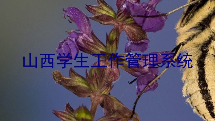 山西学生工作管理系统