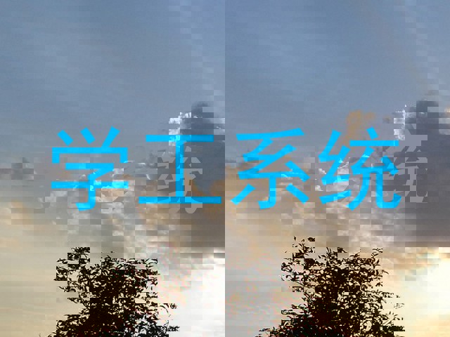 学工系统