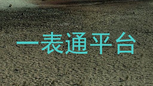 一表通平台