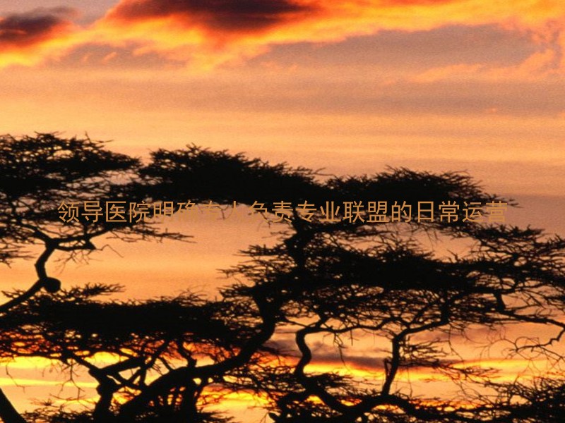 领导医院明确专人负责专业联盟的日常运营