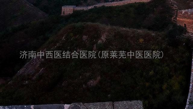 济南中西医结合医院(原莱芜中医医院)