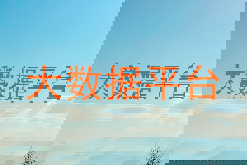 大数据平台