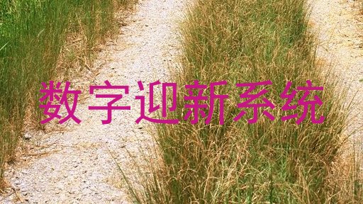 数字迎新系统