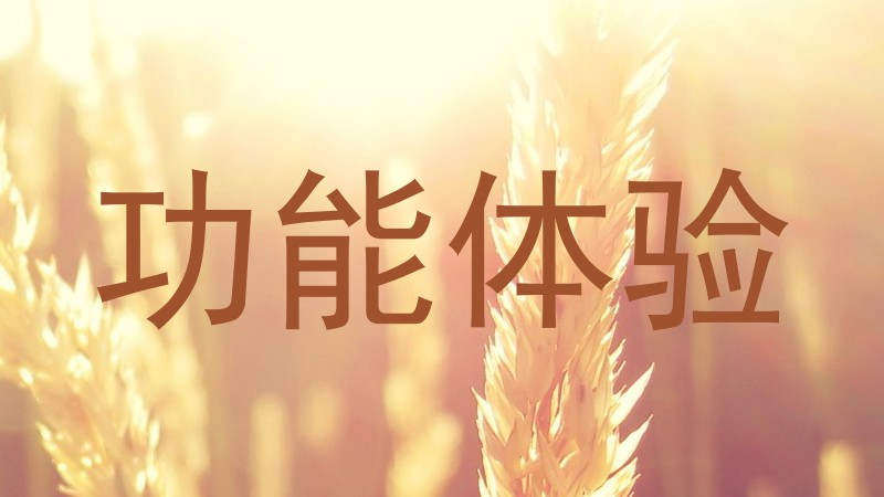功能体验