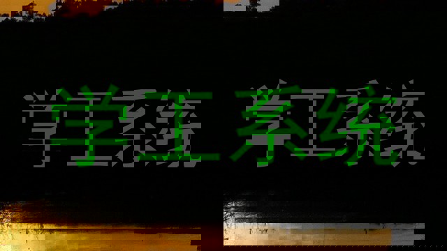 学工系统
